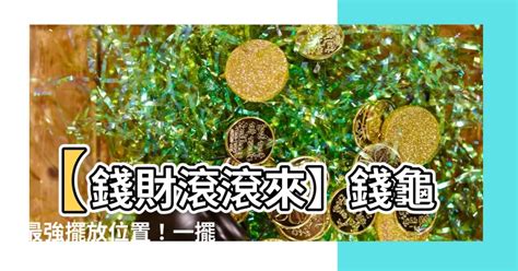 錢龜擺放位置|錢龜怎麼放？財運亨通的擺放學問